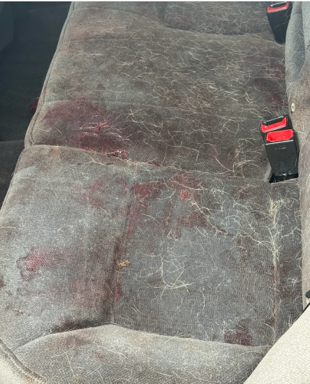 Before — Interior detail — rear seats